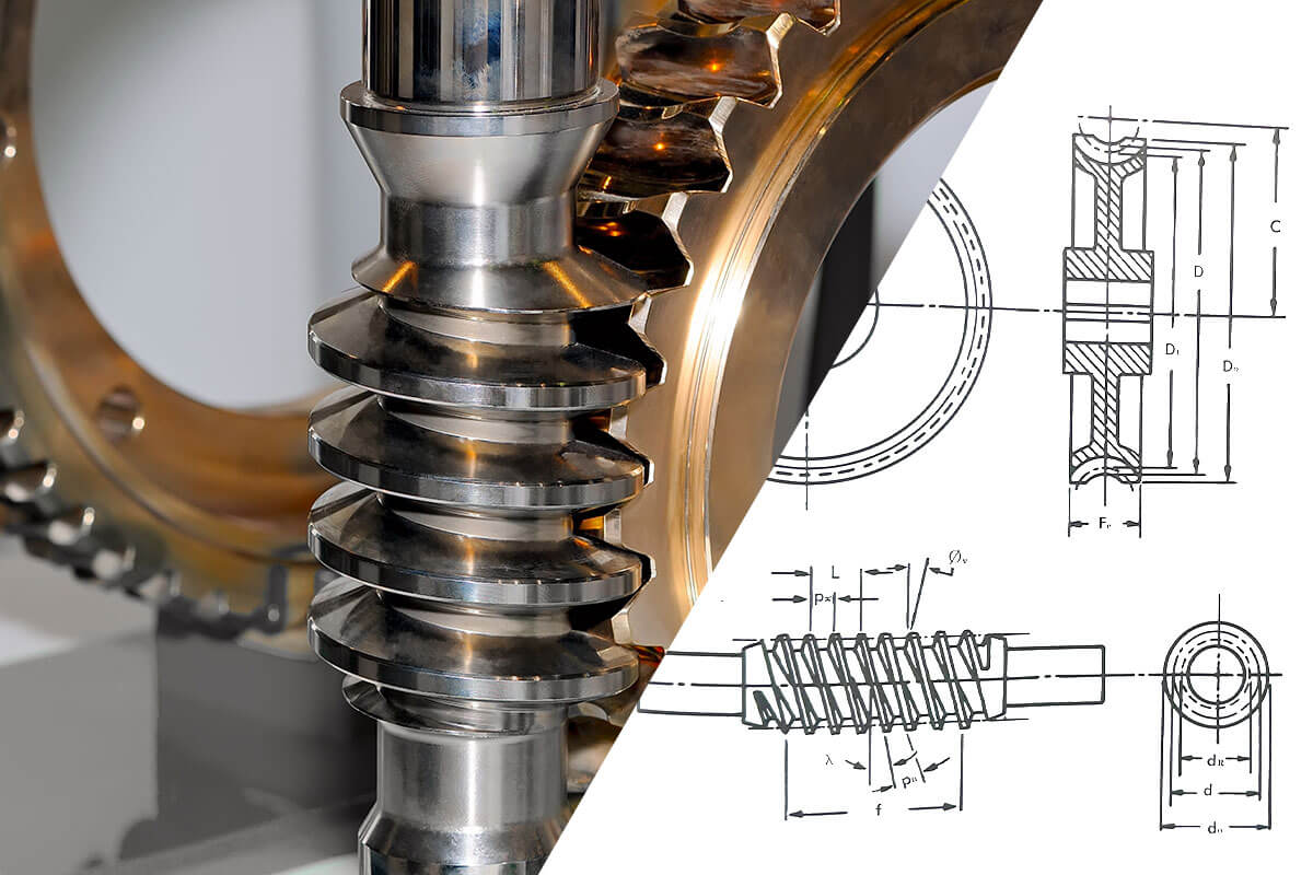 https://www.philagear.com/wp-content/uploads/2025/05/gear-types-worm-split2.jpg